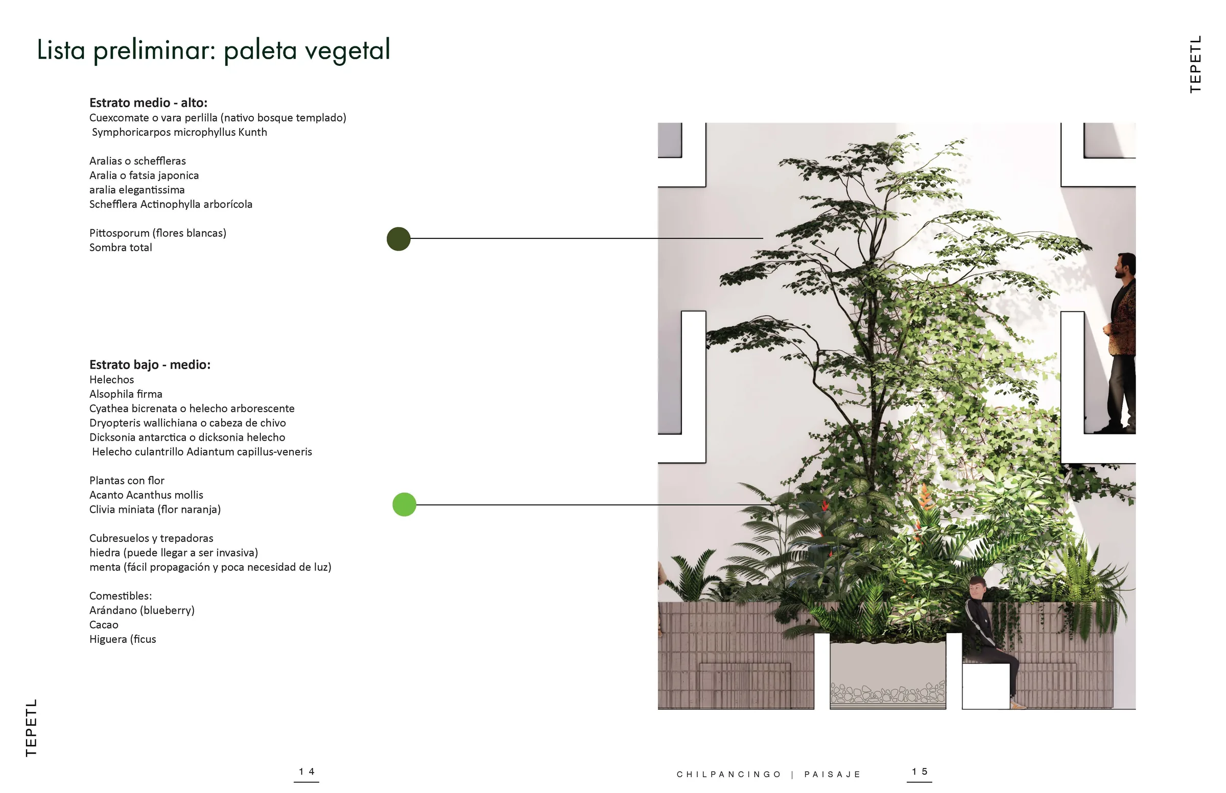 Pages from 250702 CLP BookEjecutivo