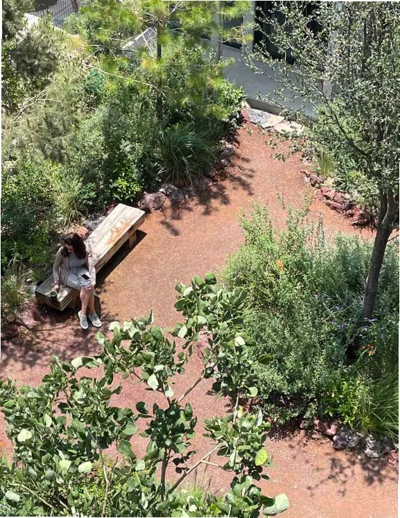 2025 TEPETL Work Sample