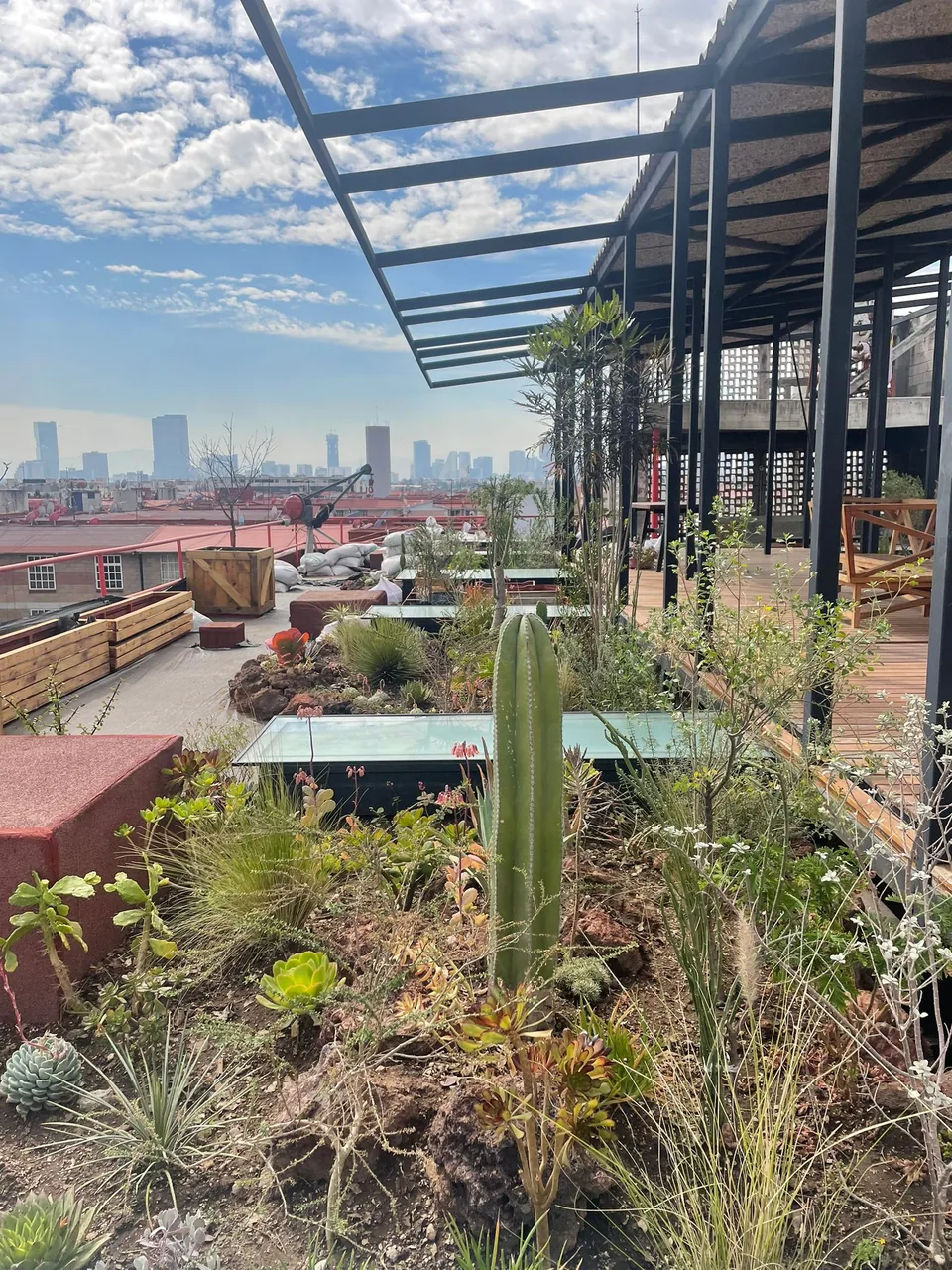 WhatsApp Image 2024 01 18 at 7.44.22 PM