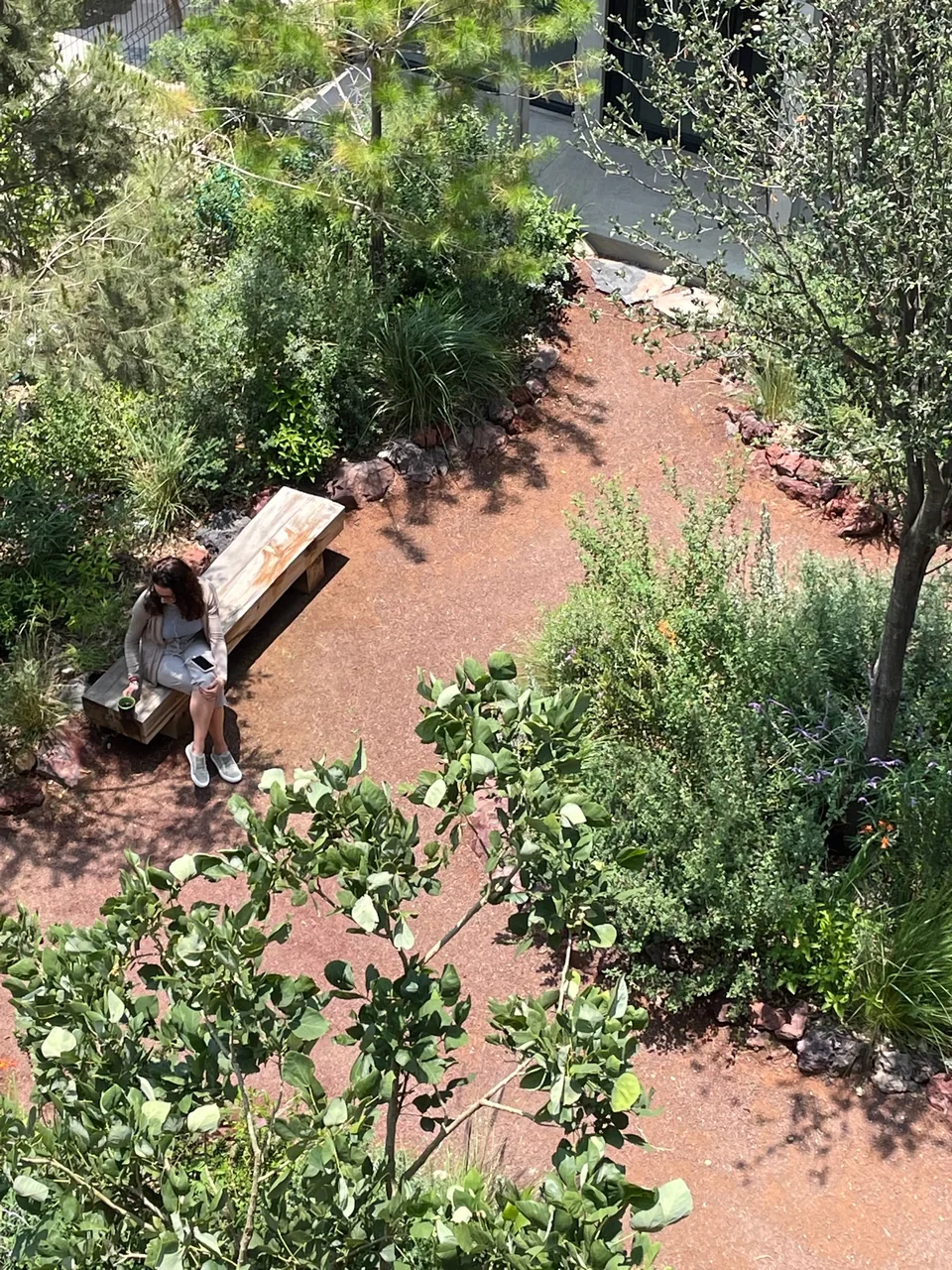 Fábrica de Hielo Garden cover