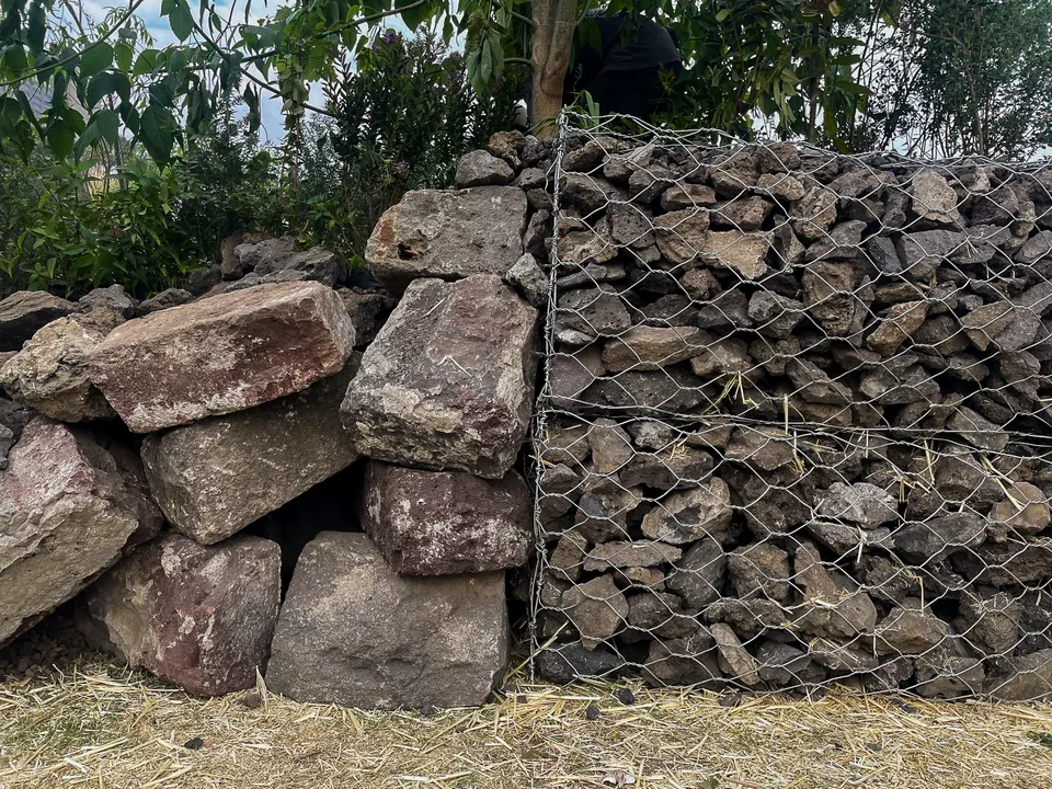 WhatsApp Image 2024 05 29 at 10.27.53 PM