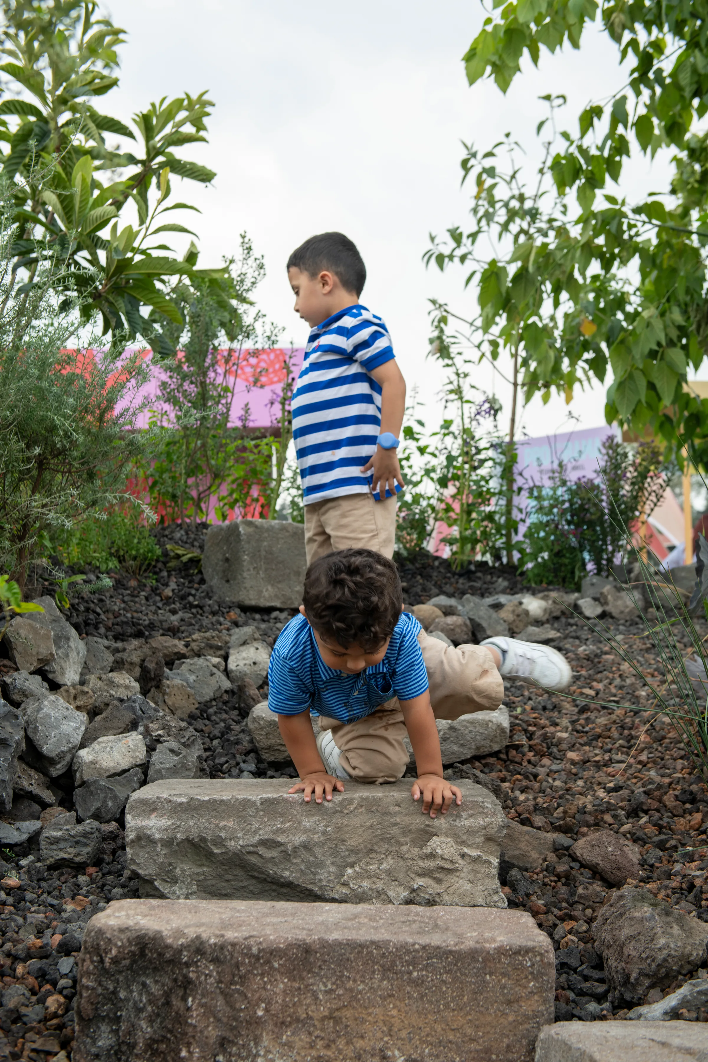 foto Jaime Navarro  6731