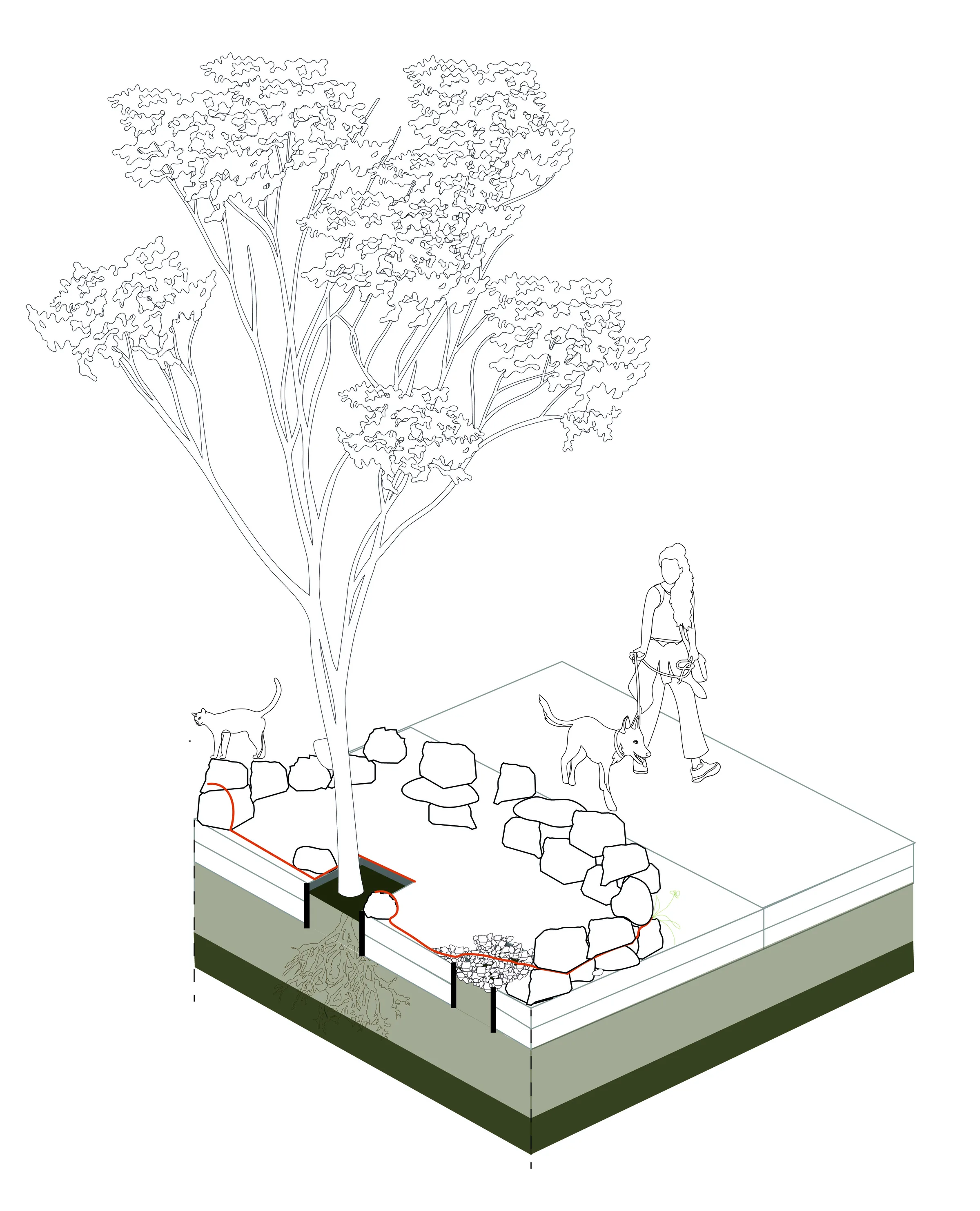 HOLCIM ESQUEMA REDES 2