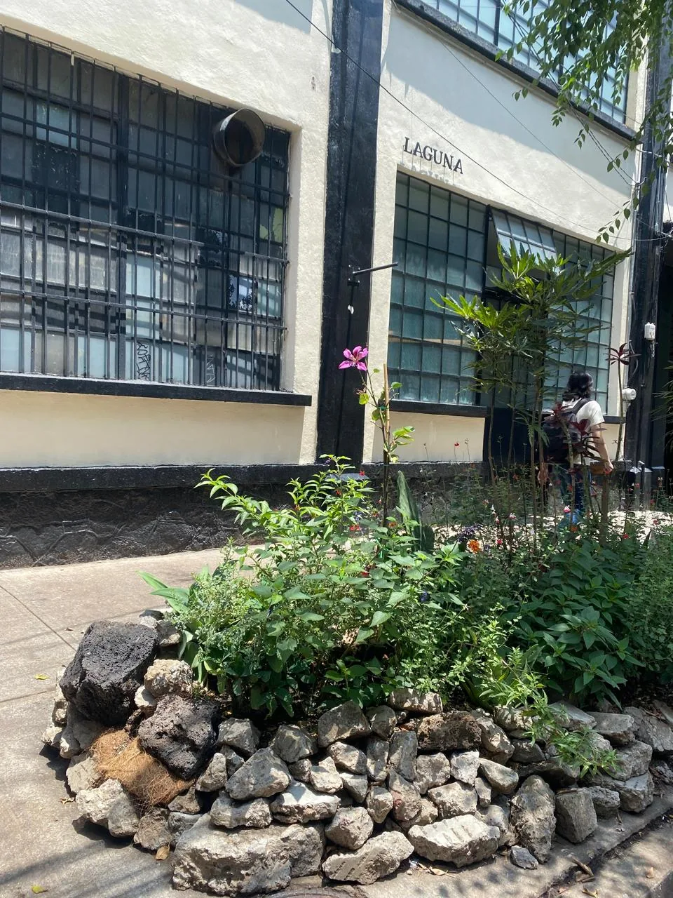 Imagen de WhatsApp 2025 05 29 a las 15.45.42 3d27f8c4