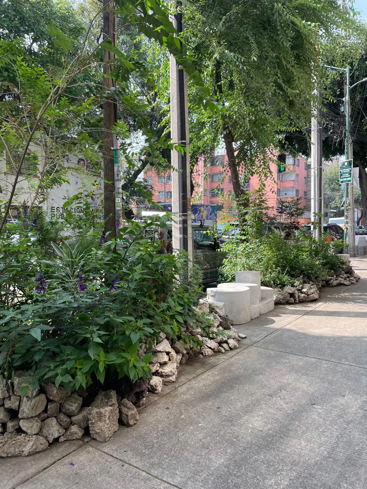 Laguna's Planters cover