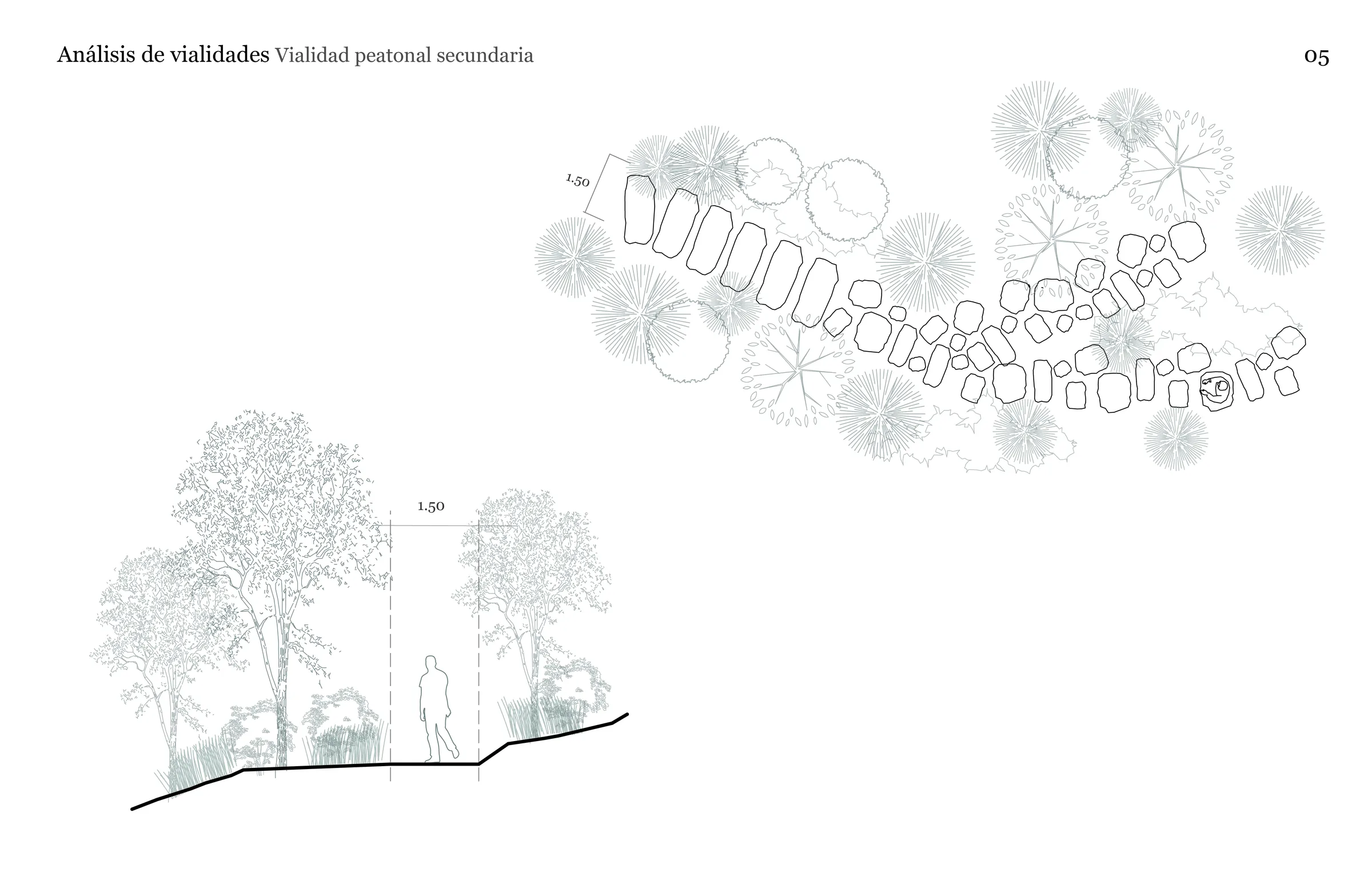 Vialidades 2022.08.05