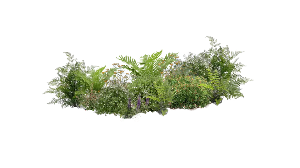 Arbustos de semisombra reducido de flor