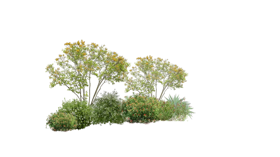 Arbustos de sol reducido