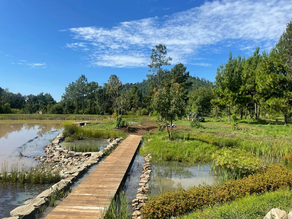 Humedal Establecido 2