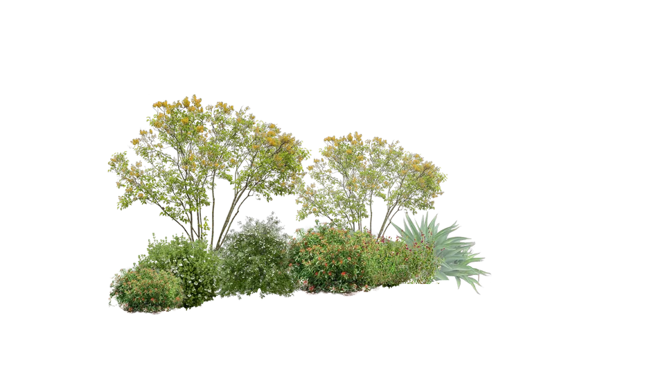 Mezcla verde sin fondo