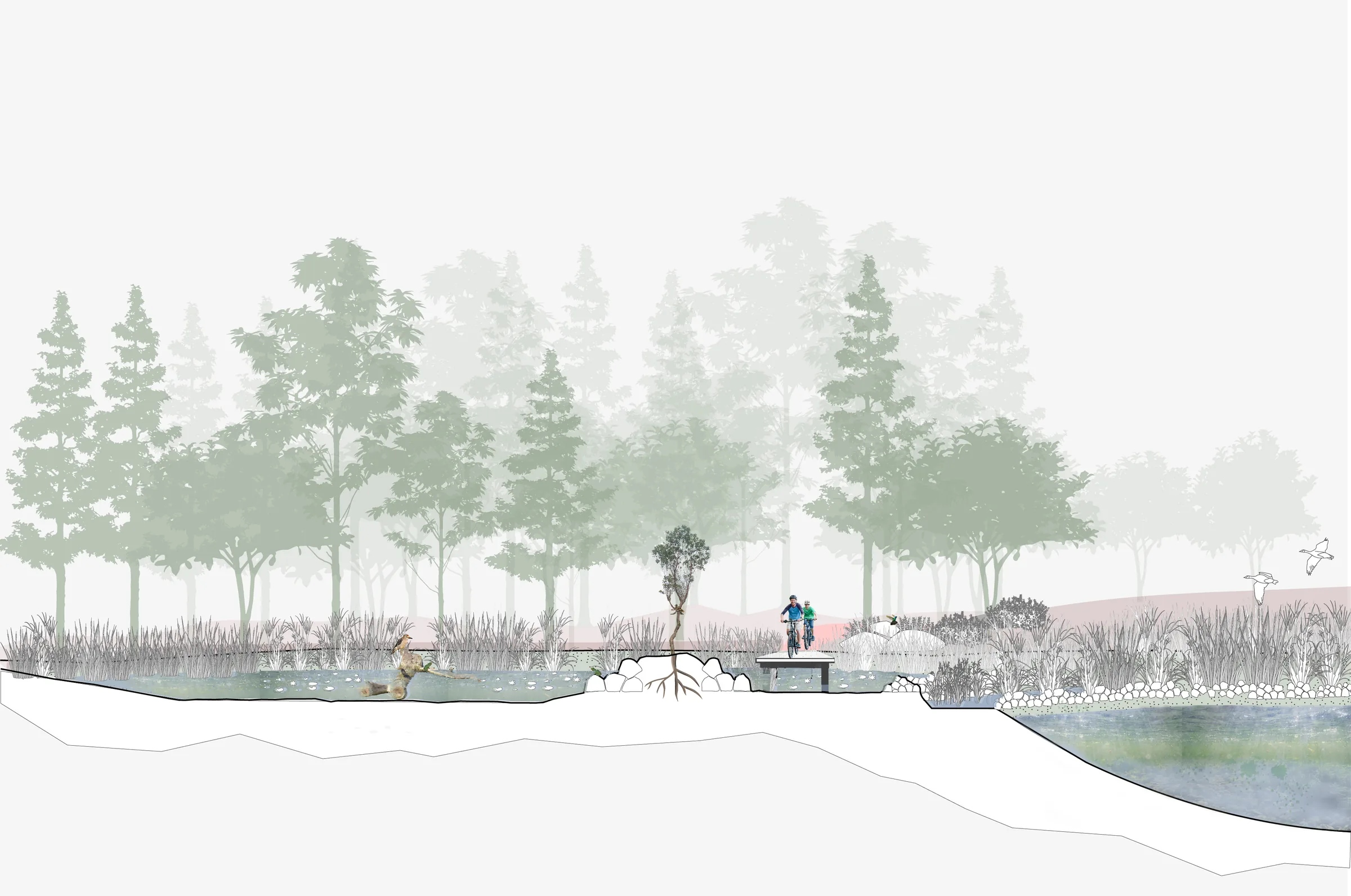 RP Sección humedal 01