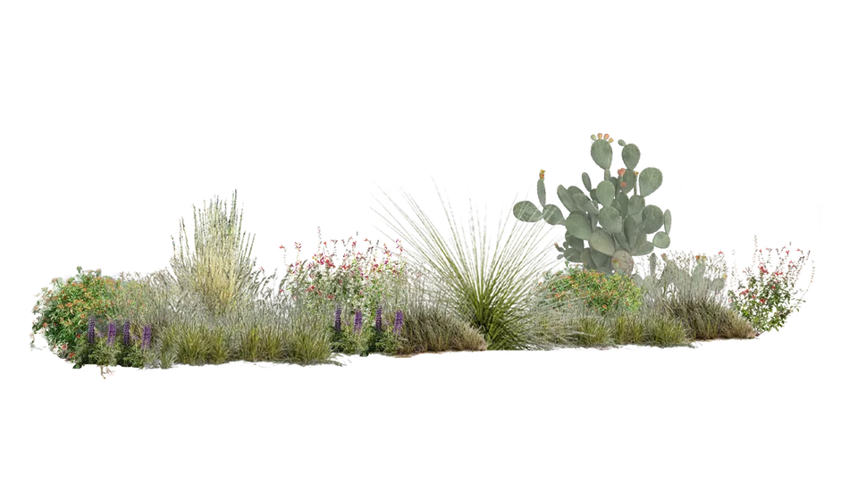 mezcla amarilla de sol