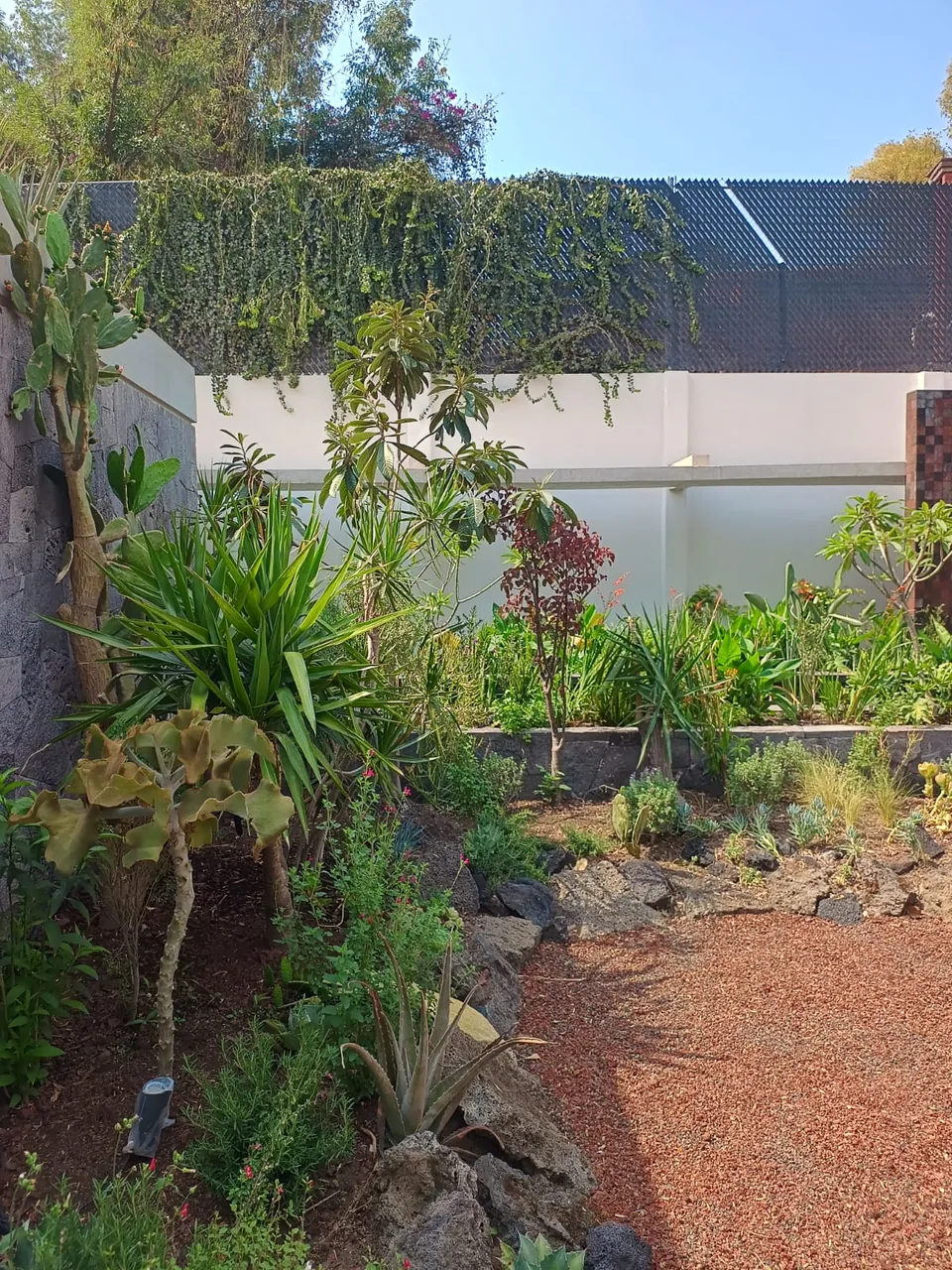 PHOTO 2025 09 05 16 35 52 (4) 2