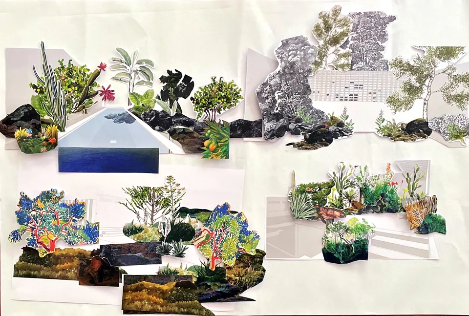 Jardin Salvador Novo cover