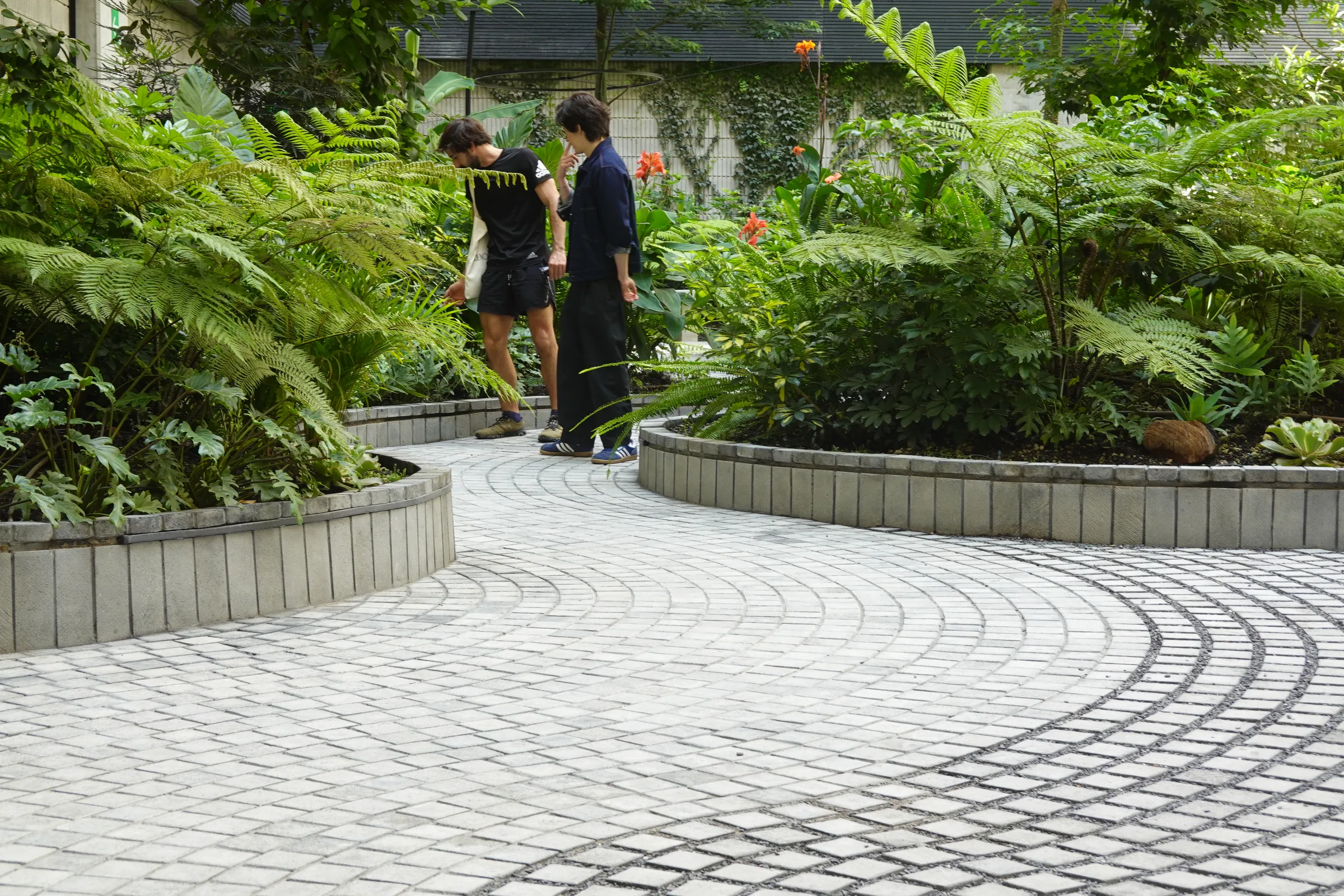 00DSC09259