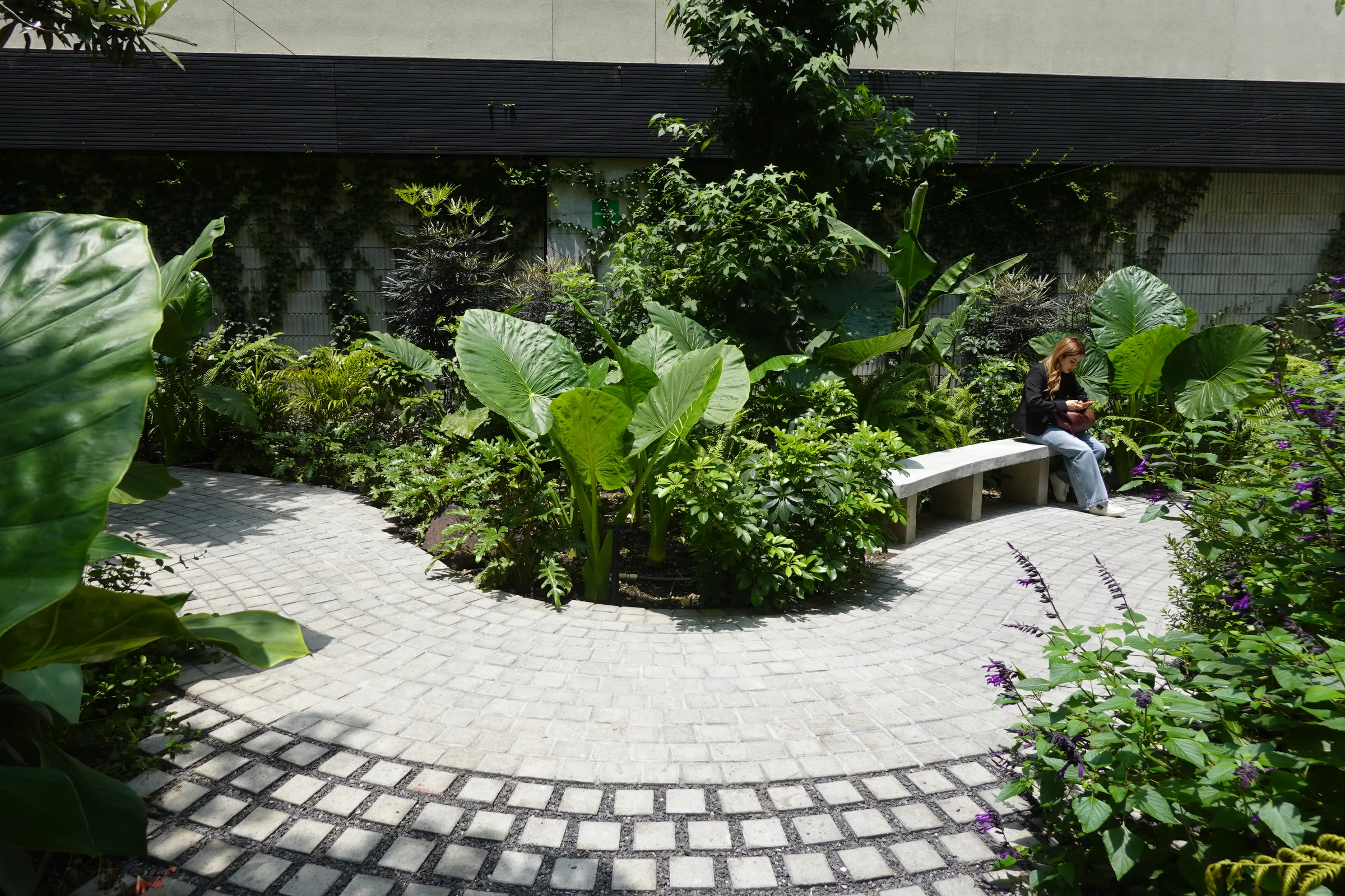 00DSC09610