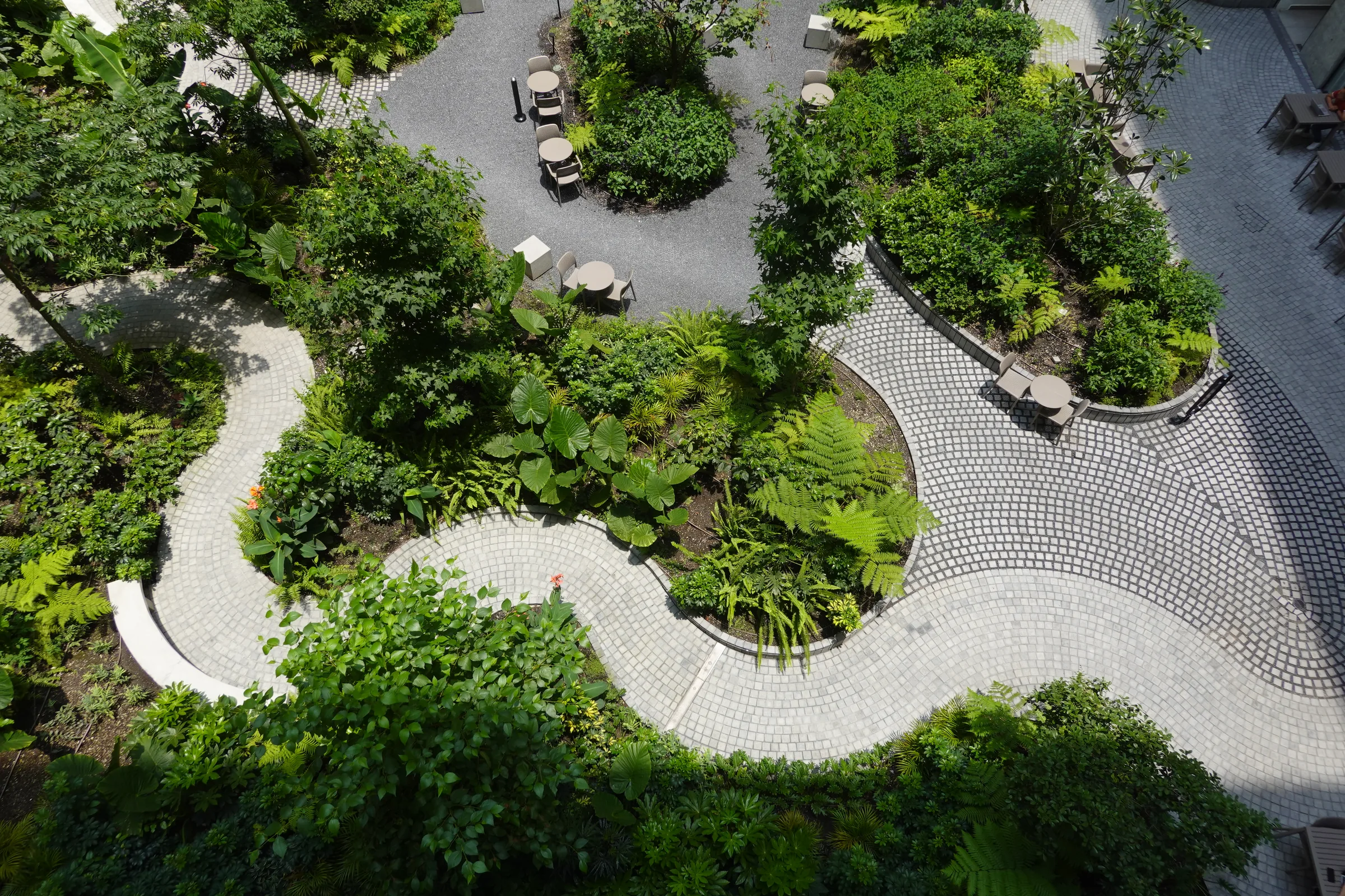 00DSC09677