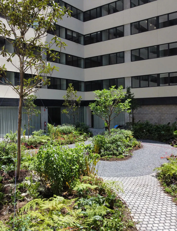 2025 TEPETL Work Sample  Obra