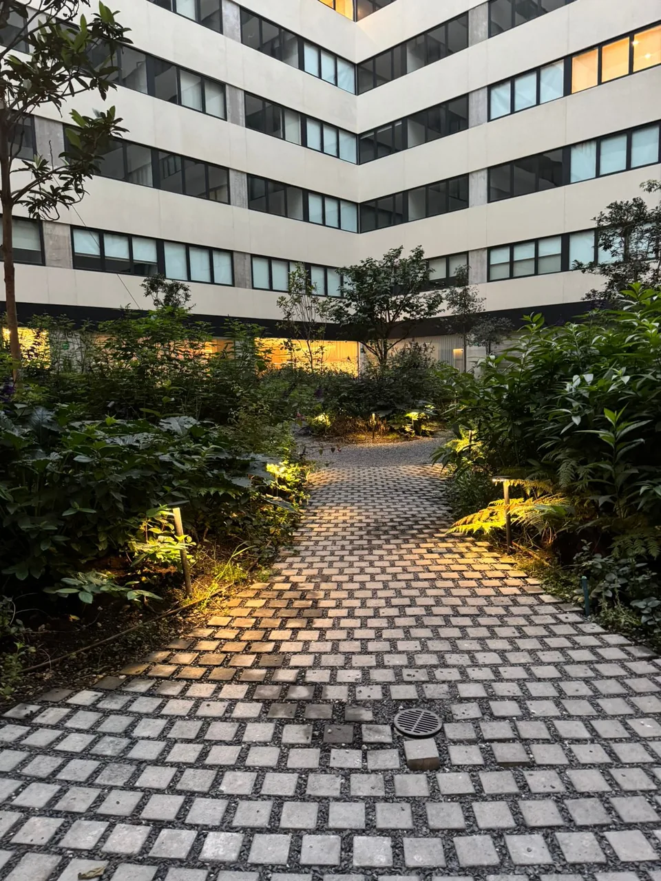 WhatsApp Image 2026 02 04 at 11.15.39 AM