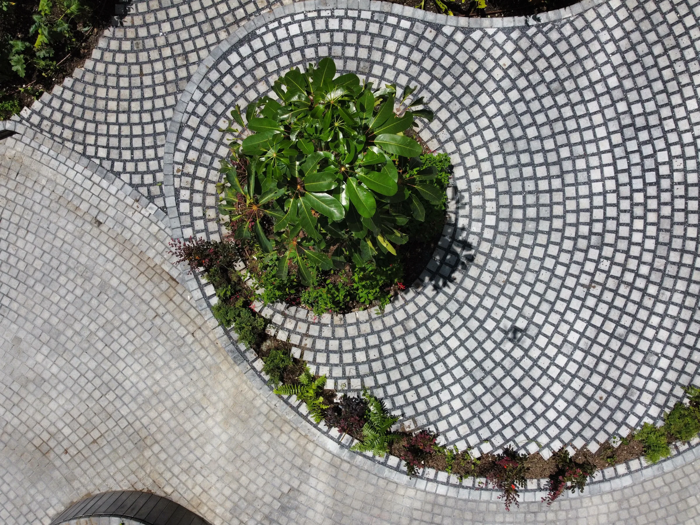 dji fly 20250905 114338 686 1757100310413 photo optimized