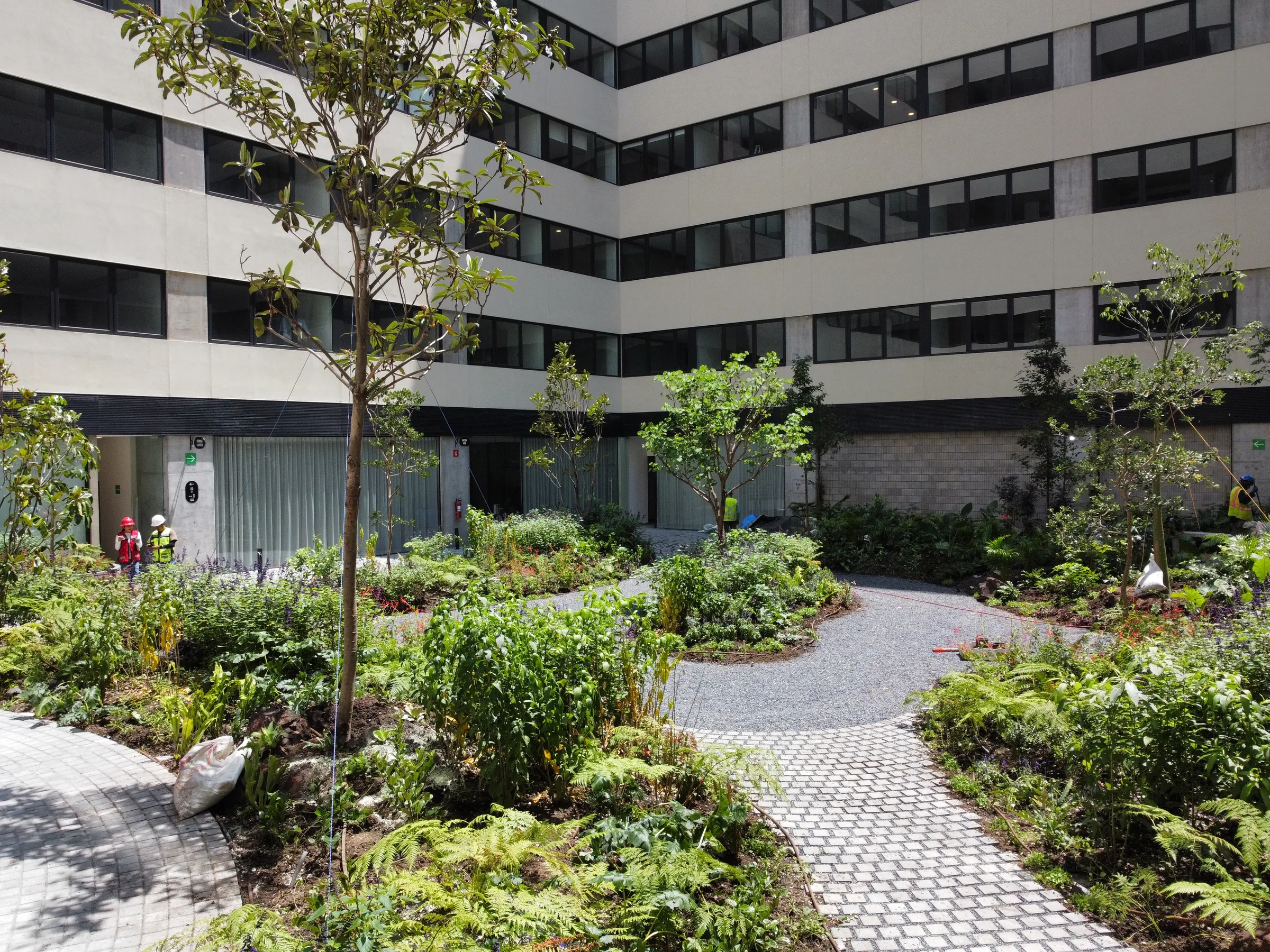 dji fly 20250905 114524 691 1757100274048 photo optimized