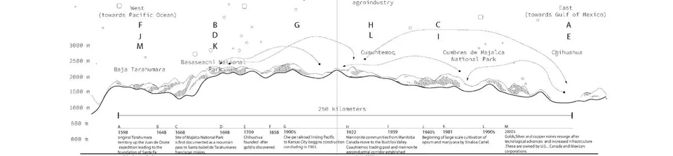 2025 TEPETL Work Sample