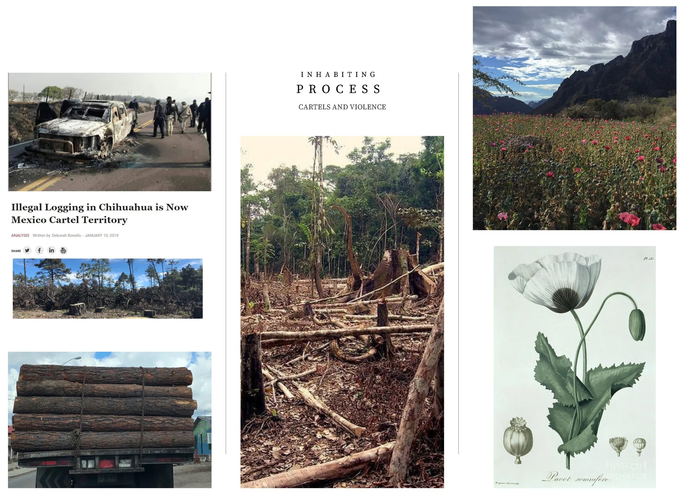 RANSOM ROBERTO THESIS JAN 27 Page 22