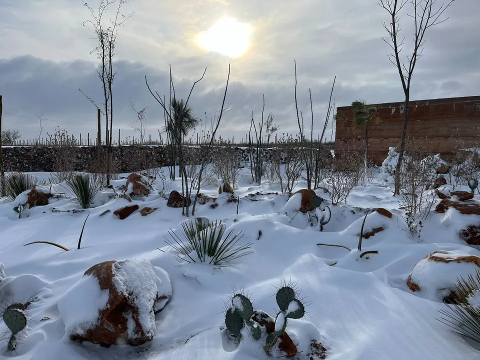 27ff5581 c042 4db2 8111 0e3f88b8a57c