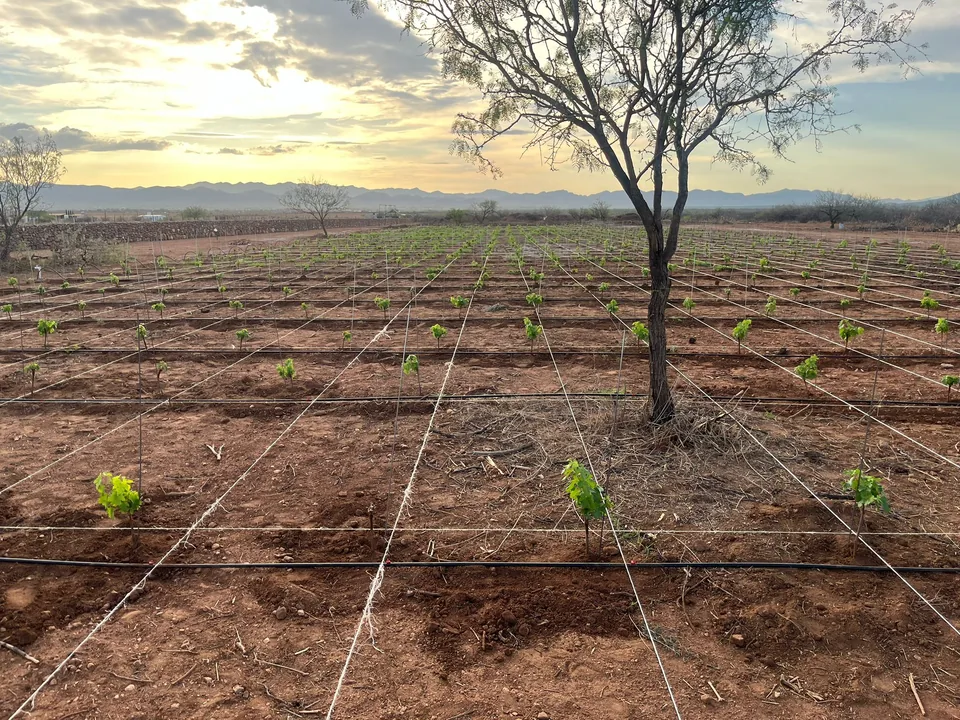 WhatsApp Image 2024 07 18 at 2.51.02 PM (1)