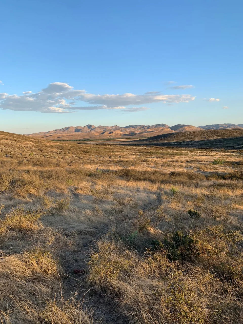 b392a5e0 6674 4cb7 a712 eb7701881204