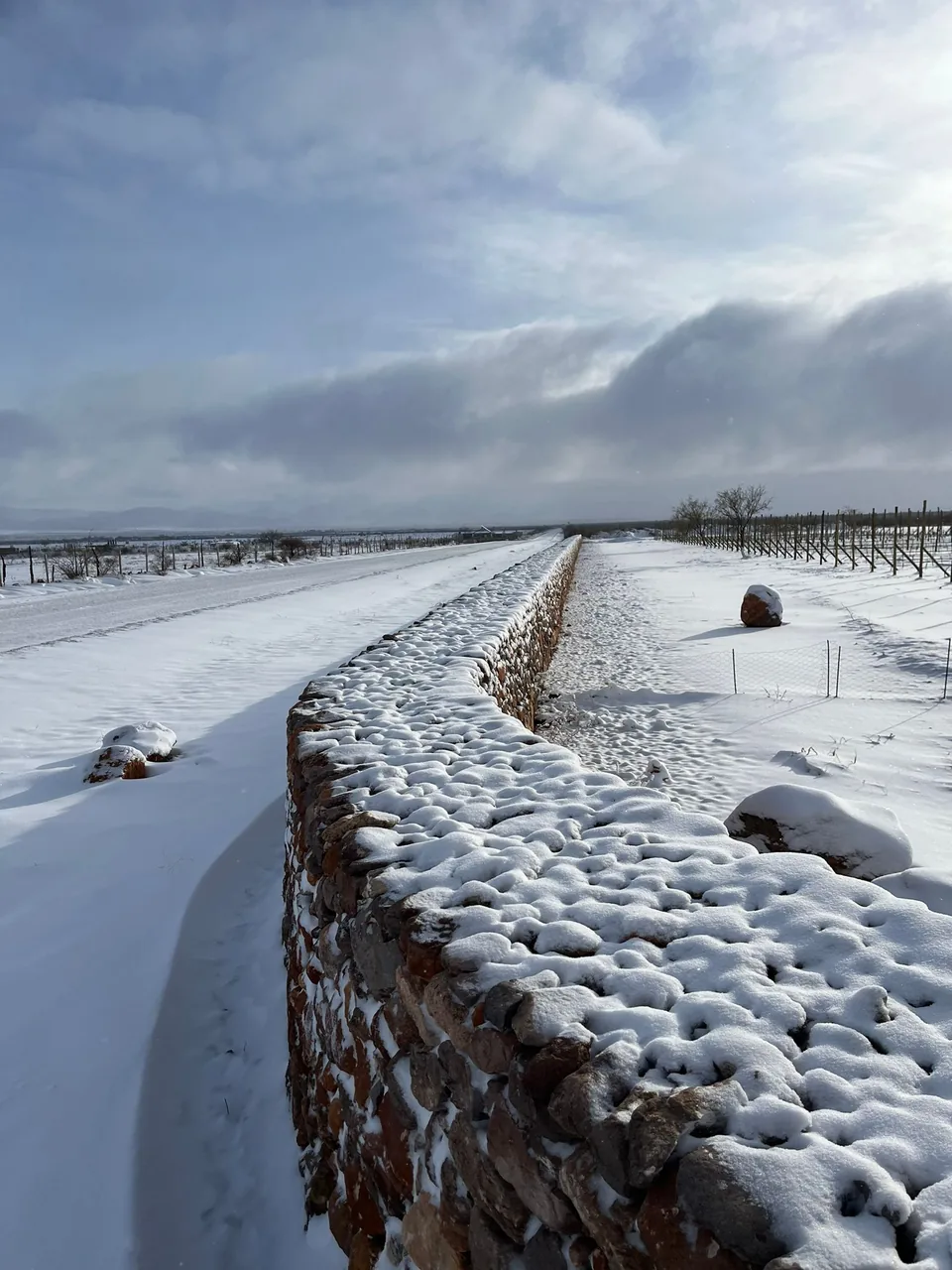 c650703c 317e 40c8 9cc0 0a06d24bae3c